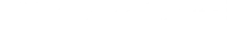 Net Lease Capital Advisors logo
